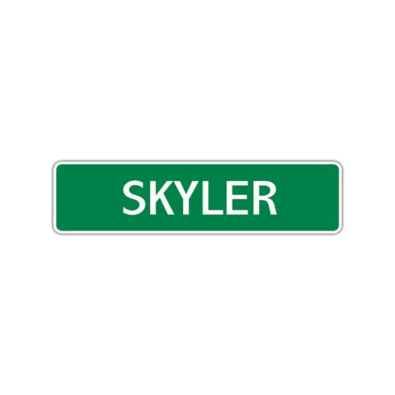 Skyler Boys Children Name Indoor Outdoor Letter Printed Label Wall Plaque Decoration Aluminum Metal Sign 4"x13.5"