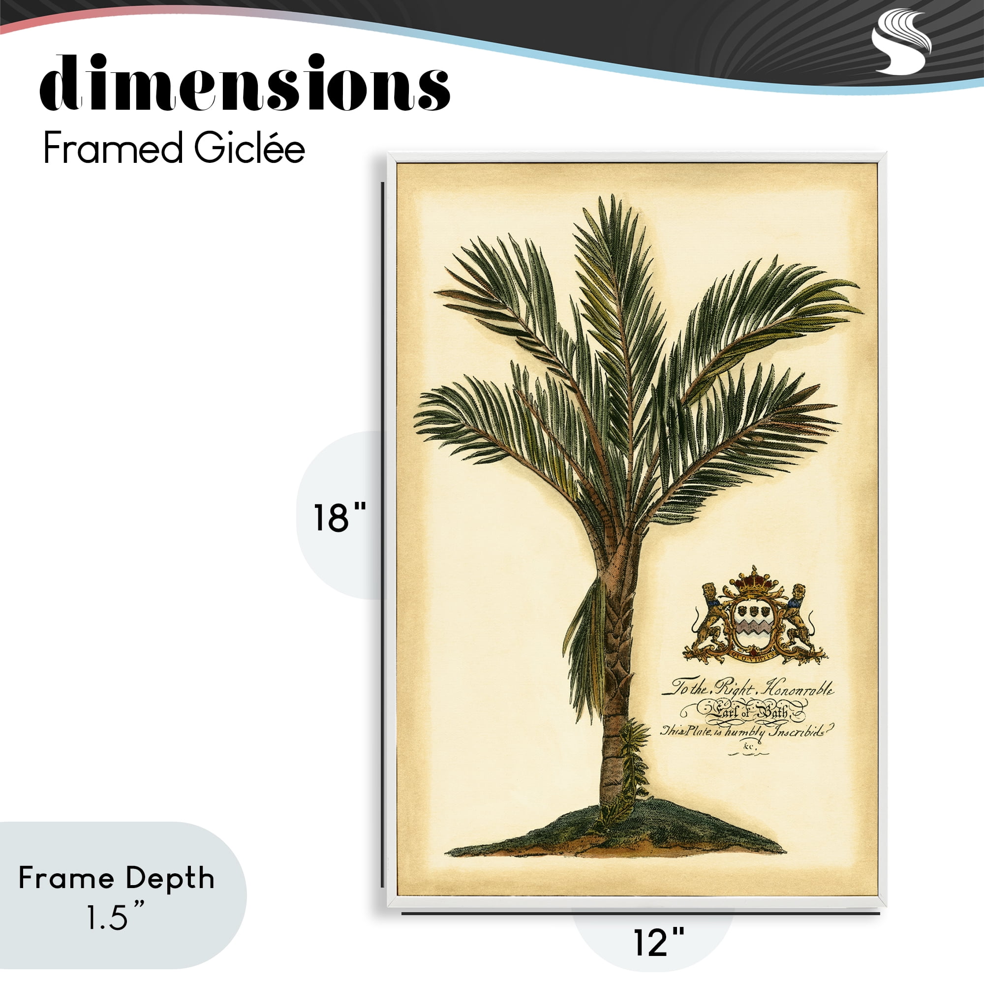 Stupell Industries Vintage Colonial Palm White Framed Giclee Art, design by Vision Studio