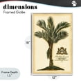 thumbnail image 4 of Stupell Industries Traditional Vintage Colonial Palm White Framed Giclee Art, 12 x 18, by Vision Studio, 4 of 8
