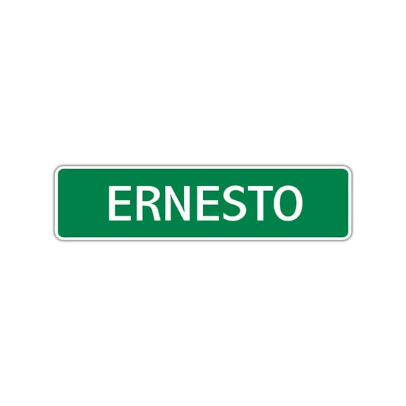 Ernesto Boys Children Name Letter Printed Label Indoor Outdoor Unique Wall Plaque Decoration Aluminum Metal Sign 4"x13.5"