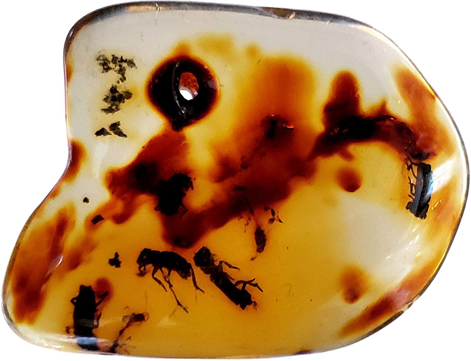 Qunclay Mosquito in Amber Resin Prop Replica Mosquito Collectible Paper  Weight 2D Mosquito Amber Collection Flat Bottom Resin Paperweight for Decor