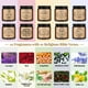 thumbnail image 3 of Set de 10 Velas Aromáticas Cristianas Lewtemi 100 mL, 3 of 7