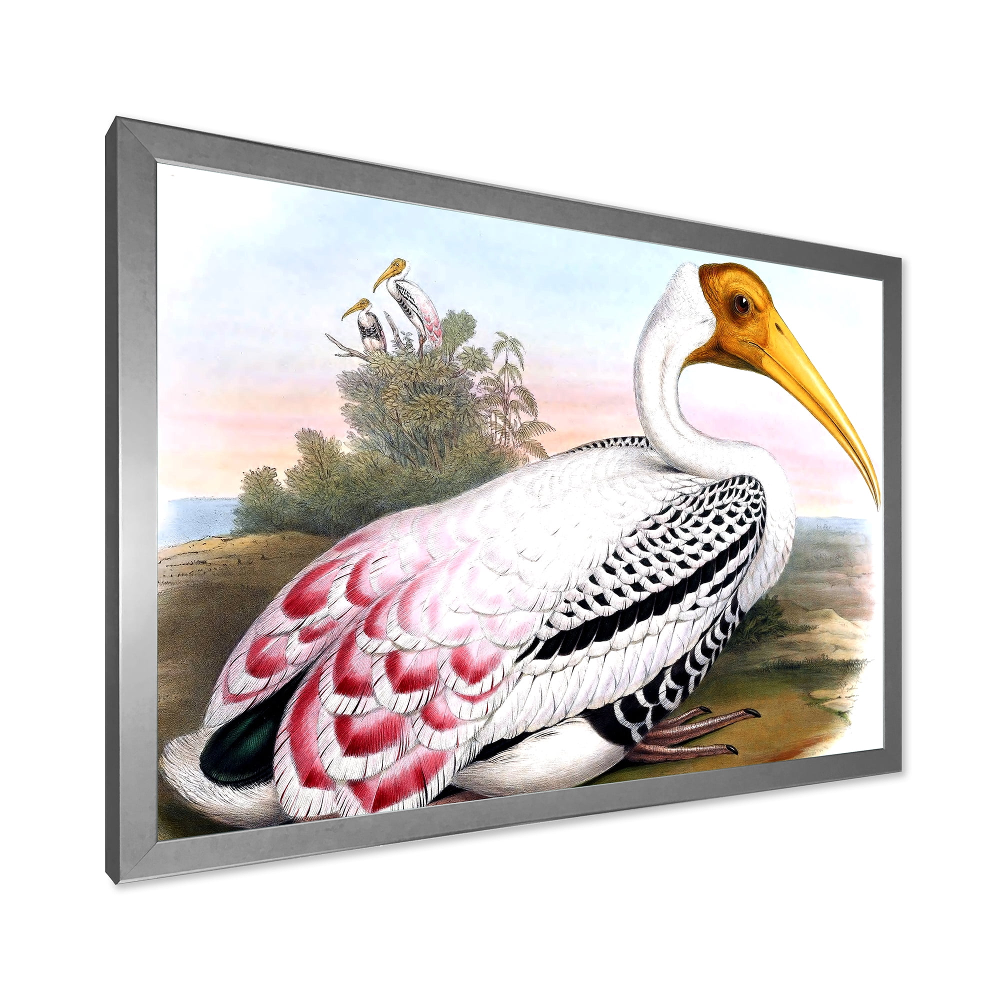 Designart 'Vintage Countryside White Birds' Farmhouse Framed Art Print