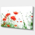 thumbnail image 2 of Fleurs de Coquelicot sur Fond Blanc - Impression sur Toile Florale, 2 of 3