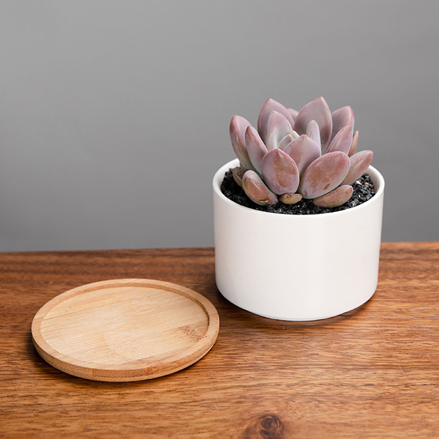 Succulent Pots, White Mini Ceramic Flower Planter Pot with Bamboo Tray - Plants Not Included, Size: 7*4cm