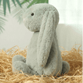 thumbnail image 5 of 9.8" Sage Green Shaggy Slouchy Easter Bunny Plush Toys s - Solid Color Bunny Stuffed Animals - Fuzzy Eucalyptus Plushies for Boho Spring Decor, Modern Neutral Baby Gifts & Soft Texture Sensory Toys s, 5 of 8