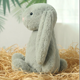 thumbnail image 5 of Juguetes de peluche de conejito de Pascua de 9,8 pulgadas, color verde salvia, peludos y holgados, animales de peluche de conejito de color sólido, peluches de eucalipto difusos para decoración,Sage, 5 of 8
