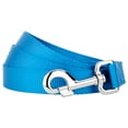 thumbnail image 2 of Country Brook Petz® 1 inch Nylon Dog Leash - Ice Blue, 6 Foot, 2 of 4