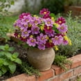 thumbnail image 2 of Qiweii 28 Head Fresh Style Artificial Aster Flower，Faux Plastic Floral for Home Decor and Floral Arrangement, 2 of 6
