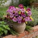 thumbnail image 1 of Flores artificiales de crisantemo para exteriores Arreglo floral sintético de plástico para decoración del hogar y el jardín, 1 of 6