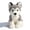 Husky, variant on Cuddly Dog Plush Toy - 11in Cute Lifelike Puppy Stuffed Animal Soft Sensory Companion Doll
