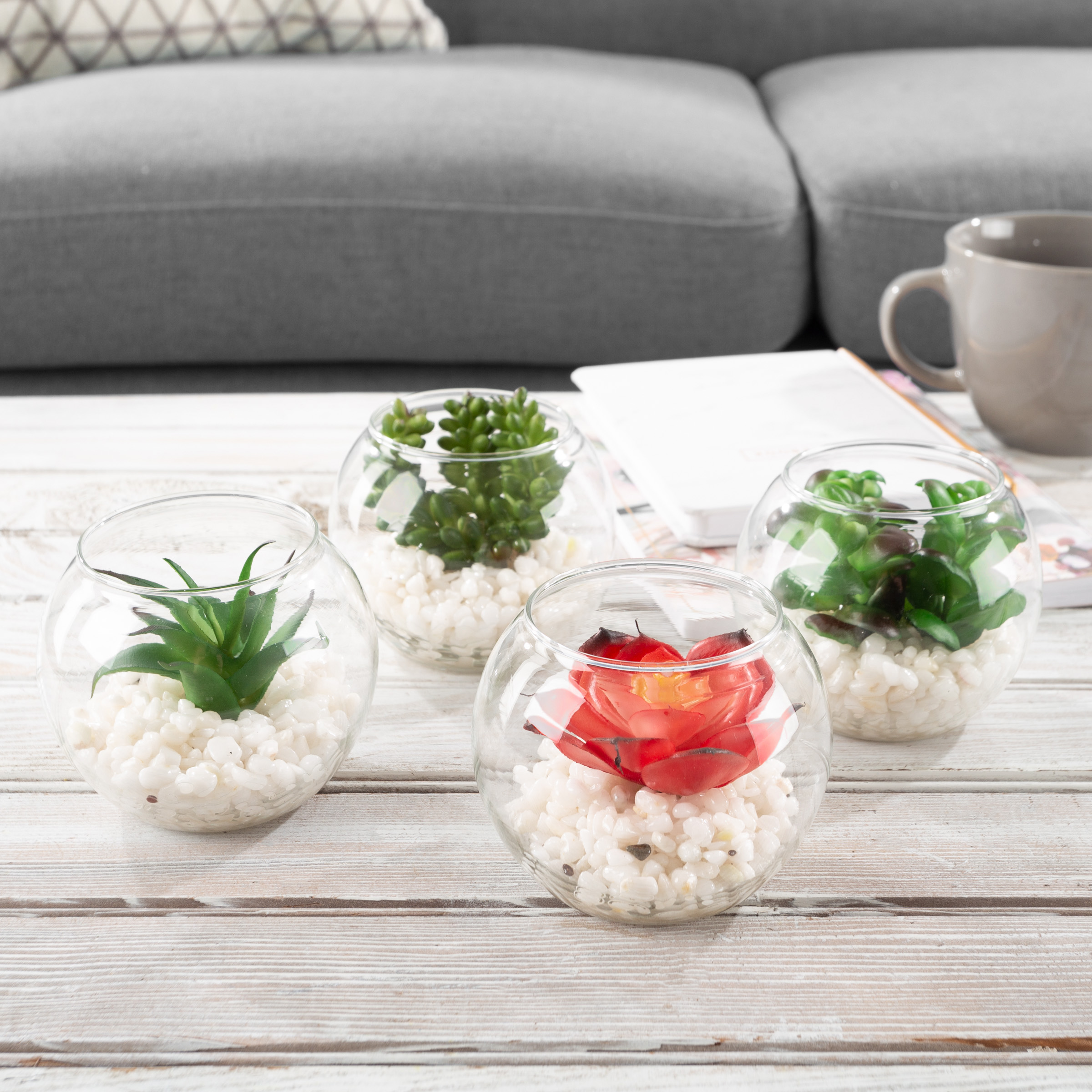 Faux Succulents in Glass Vases for Indoor Use by Pure Garden (Set of 4)