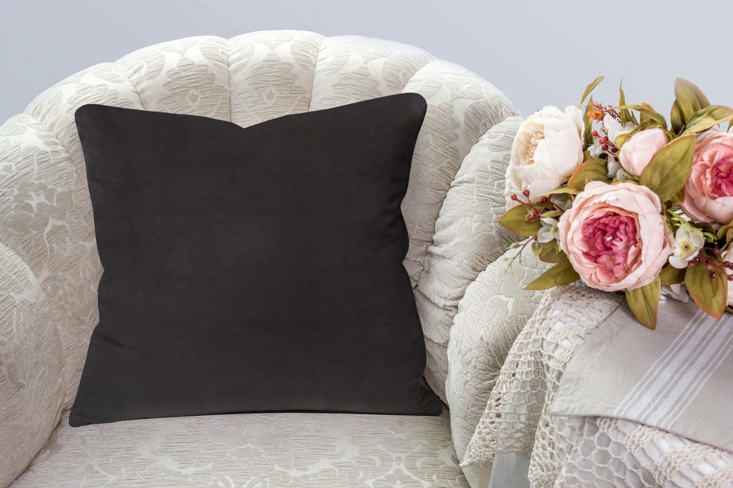A1HC Set of 2 Luxurious Soft Velvet Throw Pillow Covers Only, 24"x24", Graphite, Decorative Cushion Covers with Hidden YKK Zipper for Sofa or Bed