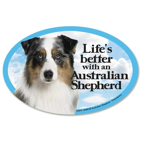 Australian Shepherd Oval Dog Magnet for Cars (and fridges