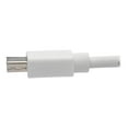 thumbnail image 6 of Tripp Lite 10ft Mini DisplayPort to DisplayPort Adapter Cable 4K x 2K M/F, MDP to DP 10' (p139-010-dp-v2b), 6 of 7