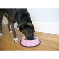 thumbnail image 2 of Iconic Pet Color Splash Stripe Non-Skid Pet Bowl, 8 Oz, Pink, 2 of 9