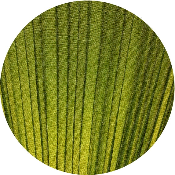 Ahgly Company Machine Washable Indoor Square Transitional Pistachio Green Area Rugs, 3' Square
