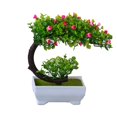 thumbnail image 4 of PFDDRW Artificial Plastic Plants Bonsai Small Tree Pot Fake Flower Arrangemeny, 4 of 8