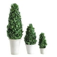 thumbnail image 2 of Creative Co-Op 17" Preserved Boxwood Cone Topiary in Clay Pot, 2 of 3