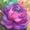 Suculenta Lolita, variant on Diamond Painting Kit, Adult Craft Kit, Diamond Art Kit, 40×40 cm (Unframed),Hortensia rosa