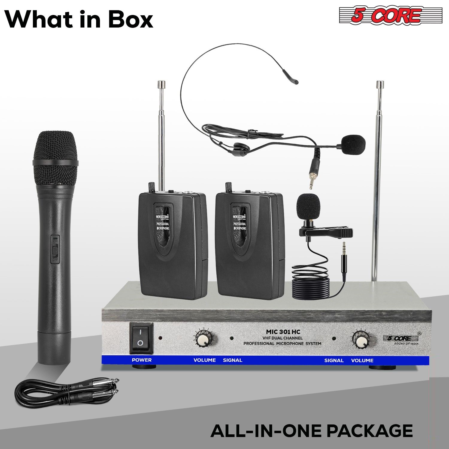 Wireless Microphone Dual Handheld Mic Cordless Receiver Dj Karaoke Singing Microphones WM 301 HC