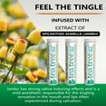 thumbnail image 3 of Xero Picks Tea Tree Infused Flavored Toothpicks For Fresh Breath - 60 Picks (3 Pack) (Mint), 3 of 7