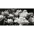 thumbnail image 3 of Hausenflock, Alan 18x11 Black Modern Framed Museum Art Print Titled - Flowers Up I, 3 of 5