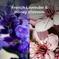 thumbnail image 7 of AIR WICK® Scented Oil - Starter Kit - Botanica 1+1 Fresh Lavender & Honey Blossom 4/1 ct., 7 of 7