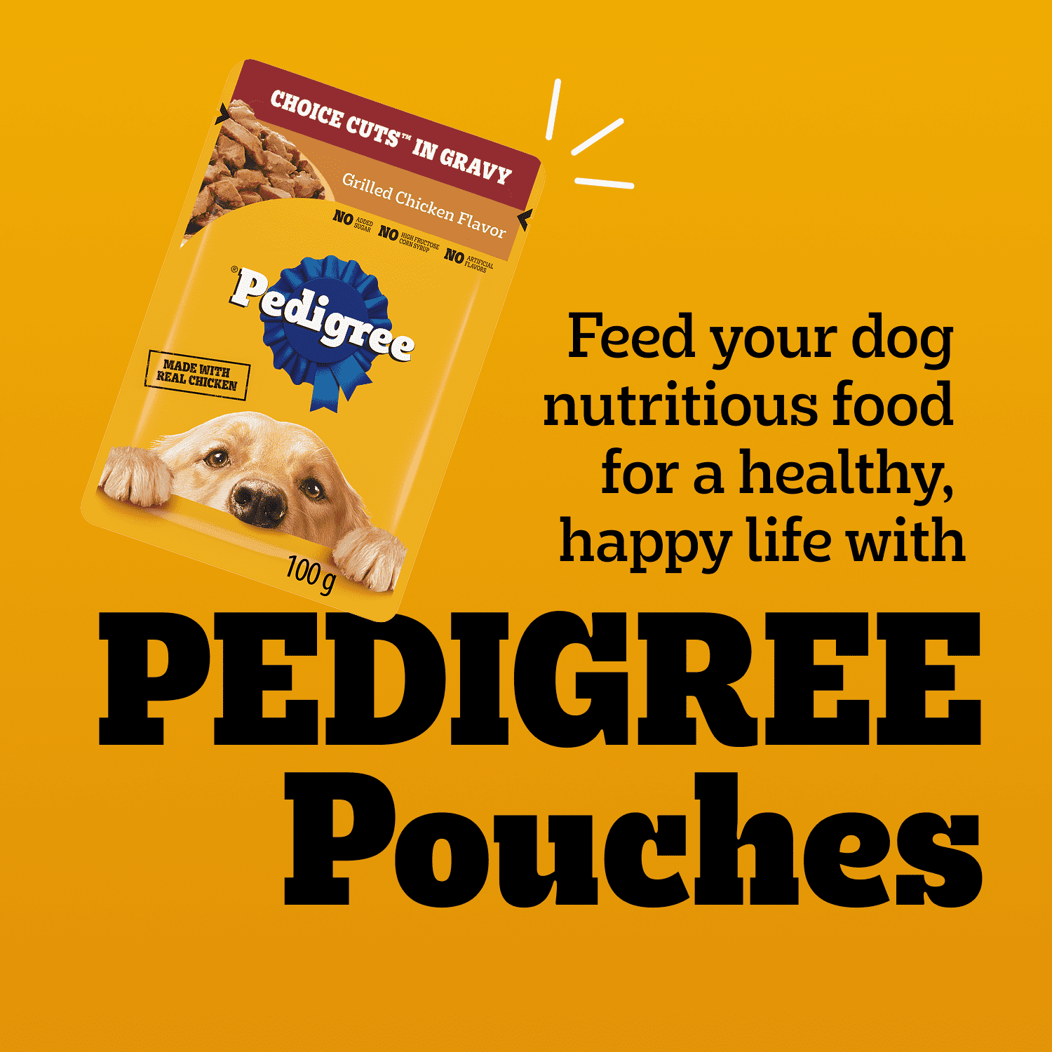 Nourriture humide pour chiens adultes PEDIGREE COUPES DE CHOIX AU JUS saveur de bœuf, nouilles et légumes et saveur de poulet grillé en format variété
