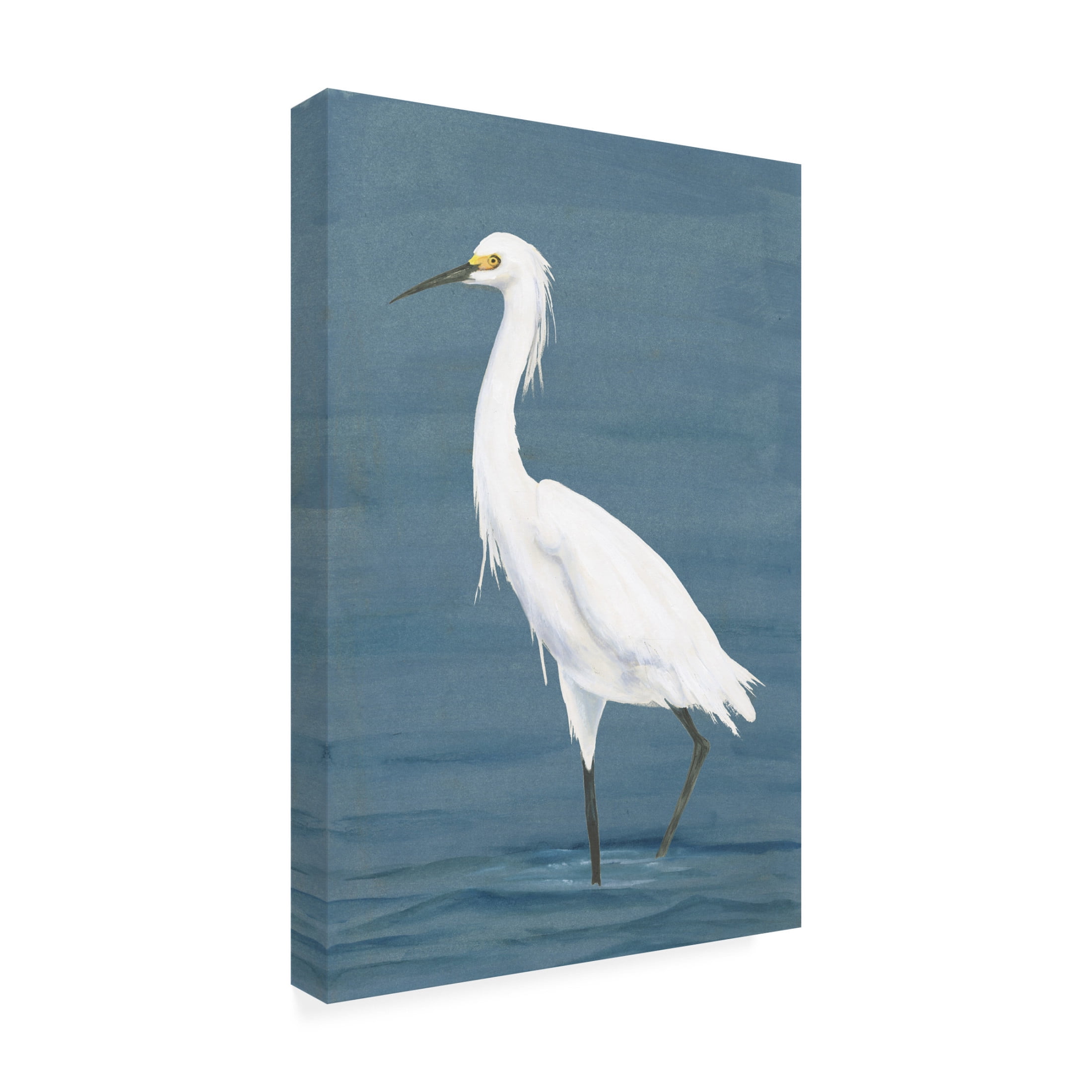 Trademark Fine Art Michael Willett  Wading Egret II Canvas Wall Art