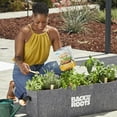 thumbnail image 3 of Back to the Roots Organic Premium Blend Edibles Plant Food, 1.5 lb Bag, 3 of 7