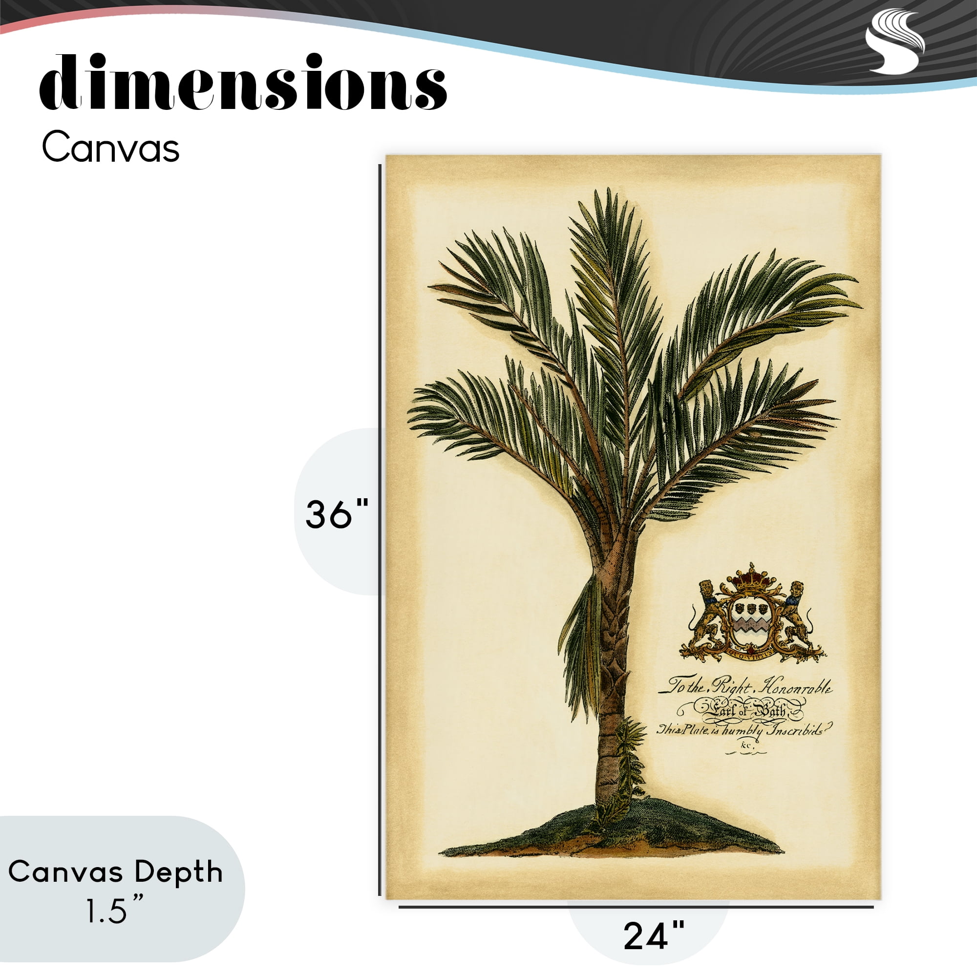 Stupell Industries Vintage Colonial Palm Canvas Wall Art, design by Vision Studio