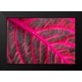 thumbnail image 2 of Berzel, Erin 24x17 Black Modern Framed Museum Art Print Titled - Pink Leaf II, 2 of 5