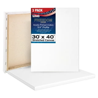  KINGART Painting-Canvas-Panels, 11X14 Inch Canvas Board Super  Value 14 Pack Canvases,100% Cotton,Primed Canvas Panel,Acid Free,Artist  Canvas Boards for Professionals,Hobby Painters,Students & Kids