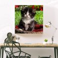 thumbnail image 3 of Cuadros Decorativos 5D bricolaje taladro completo diamante pintura gato Cruz puntada bordado mosaico Kit DQrwqpou Nuevos Originales, 3 of 8