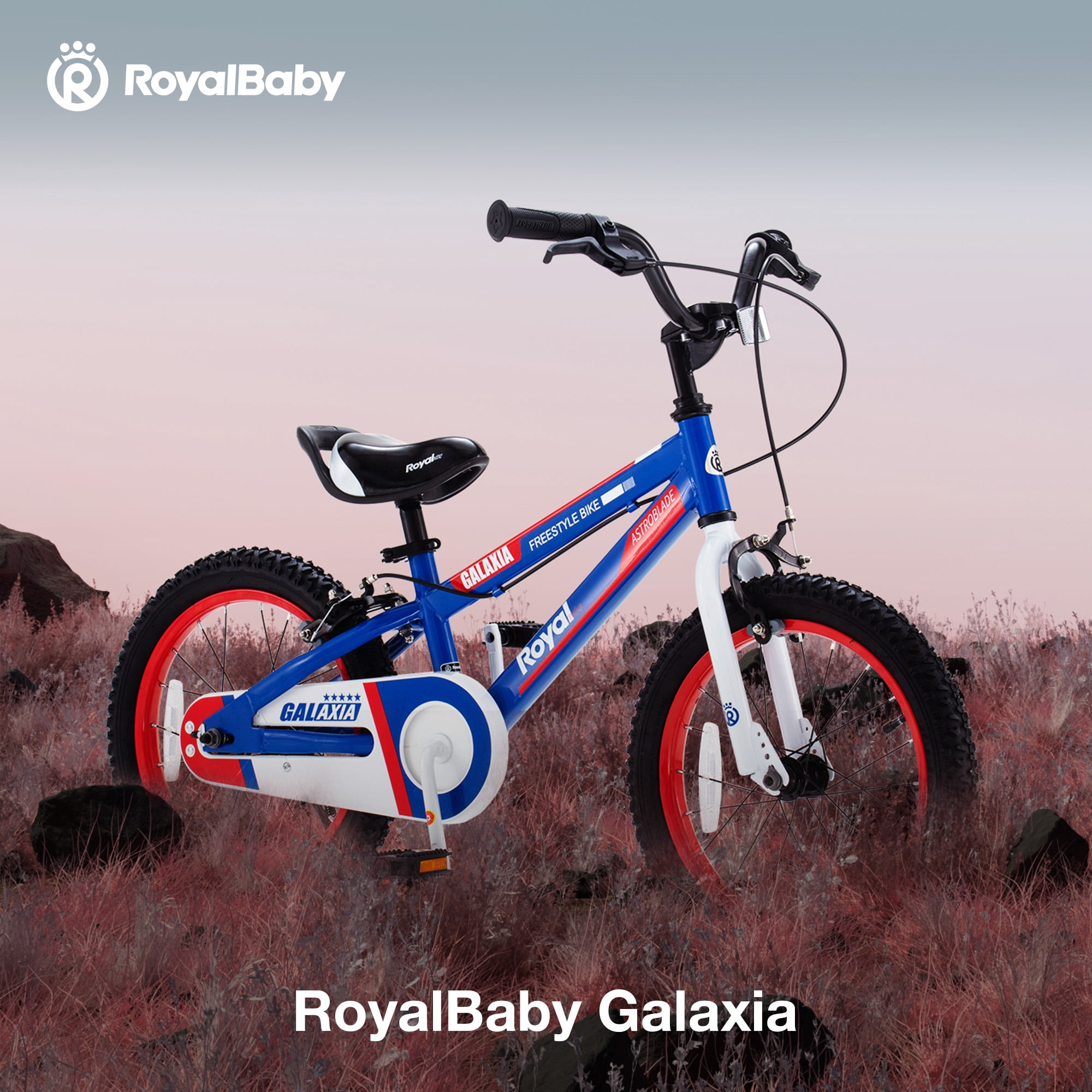 RoyalBaby Galaxia Kids Bike Toddlers 16 Inch Wheel Bicycle Beginners Boys Girls Ages 4-7 Years, Kickstand, Blue