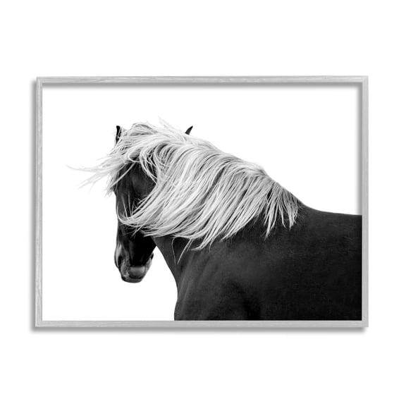 Stupell Industries Equestrian Photography Modern Horse Contrast Black White, 30 x 24,Design by Samantha Carter