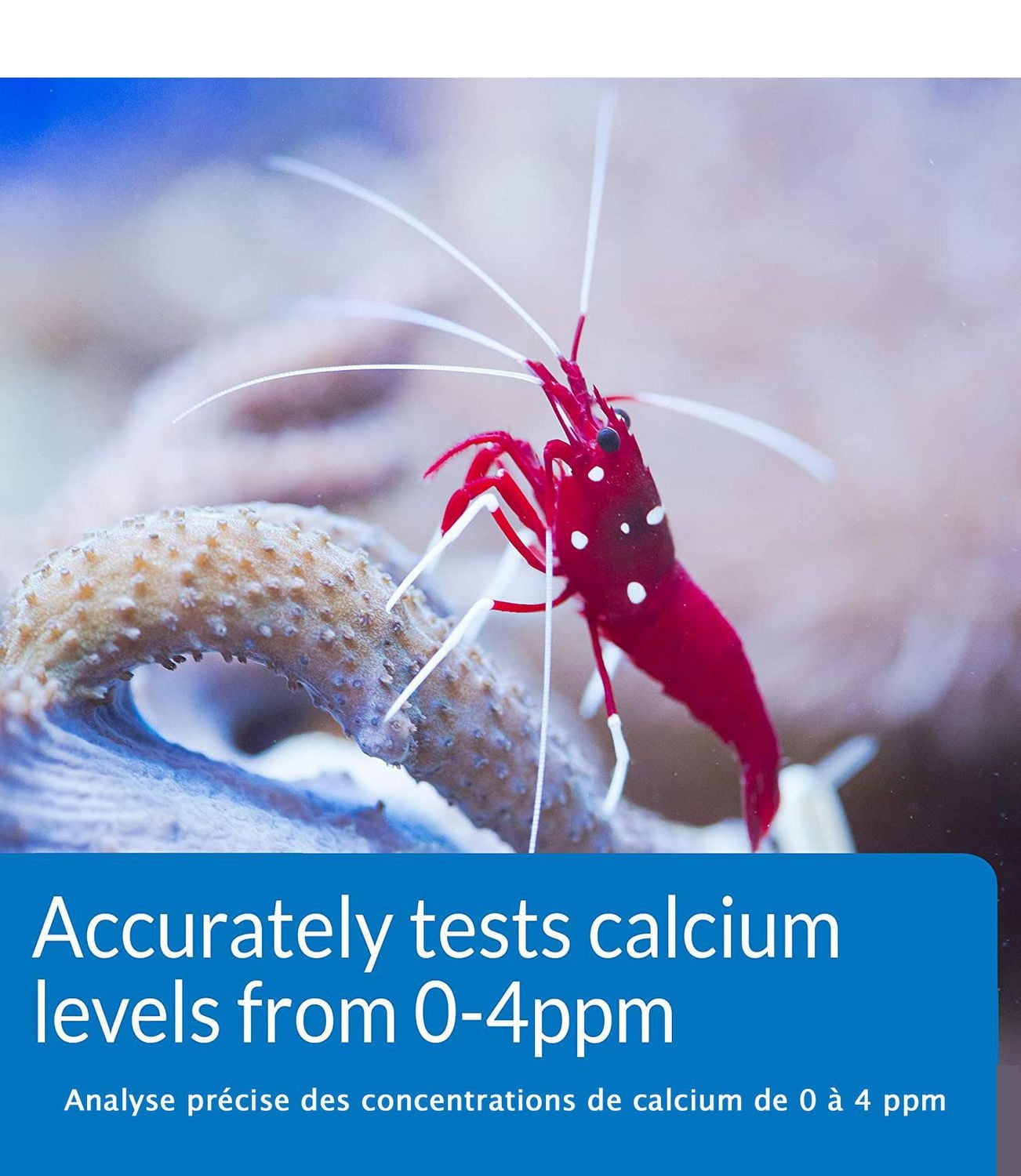 API Saltwater Calcium Test Kit