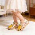 thumbnail image 2 of Girls Jelly Sandals Cute Cartoon Fruit Design Water Friendly Casual Sandals for Pool Beach Summer Outings and Outdoor, 2 of 6