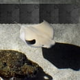 thumbnail image 4 of FESTFENDS 5Ud Paneles Divisores Acuario En Negro Para Tabiques Fácil Corte Y, 4 of 7