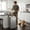 Silver, variant on Kitchen Trash Can, 16 Gallon Garbage Can with Dual Inner Bins, 60 Liter Large Capacity Trash Can with Soft-Close Foot Pedal, Stainless Steel