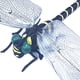 thumbnail image 2 of Modelo de libélula de PVC, repelente de mosquitos, decoración de libélula, adornos colgantes para exteriores, 2 of 8
