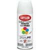 Colormaster Indoor/Outdoor Aerosol Paint 12oz-Bright White Satin
