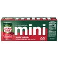 thumbnail image 5 of (3 Pack) Canada Dry Caffeine Free Fruit Splash Cherry Ginger Ale Soda Pop, 7.5 fl oz, 10 Pack Mini Cans, 5 of 5