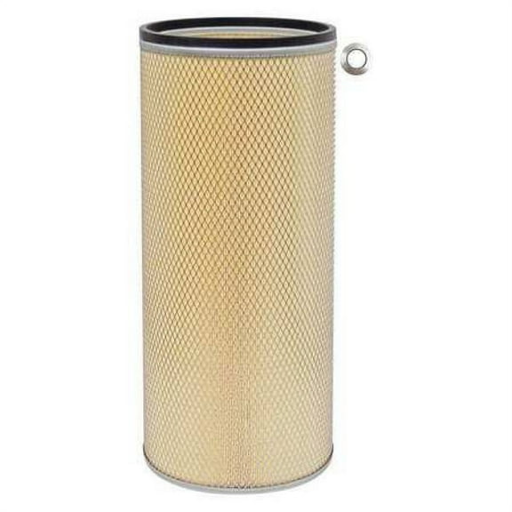 BALDWIN FILTERS PA2563 Air Filter,10-1/4 x 22-1/2 in.