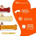 thumbnail image 4 of Nylabone Flexi Chew Gumabone Original Bone Chew Toy Bacon, Peanut Butter, & Beef X-Small (3 Count), 4 of 12