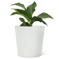 thumbnail image 1 of Taper Planter, 1 of 4
