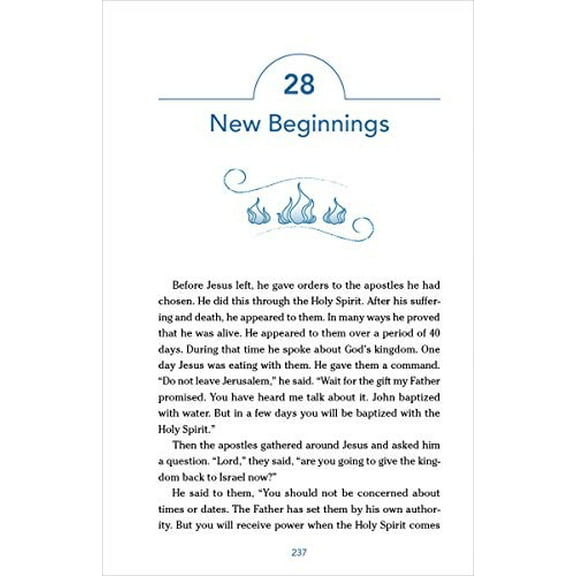 Pre-Owned Nirv, the Story for Kids, Paperback: Discover the Bible from Beginning to End (Paperback) 0310759641 9780310759645