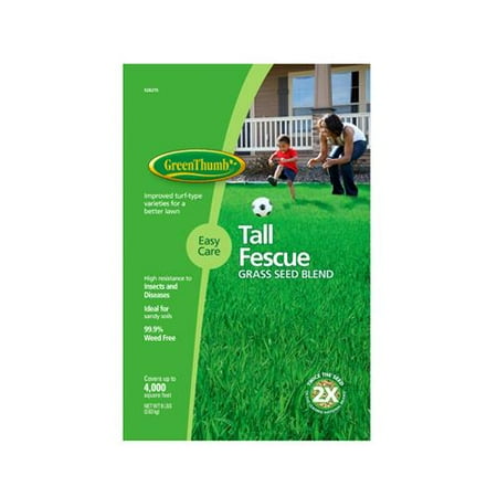 Fescue Blend Gr Seed Compare Prices At Nextag Barenbrug Usa 528275 8 Lb Premium Tall Fescue Gr Seed