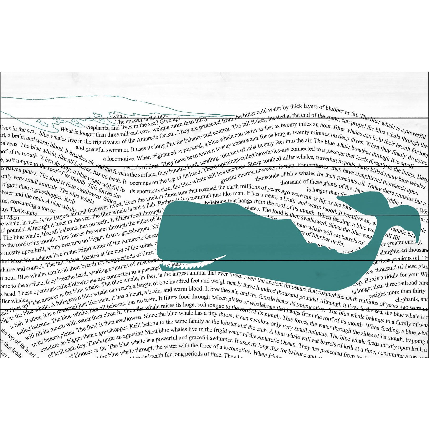 Marmont Hill "Print Whale" Painting Print on White Wood